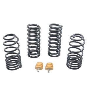 Ford Mustang Suspension Lowering Springs - ST Suspensions - Sport-tech - `94-`04